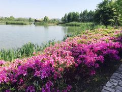 -太湖湖滨国家湿地公园-停车场