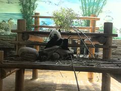 -西霞口神雕山野生动物世界