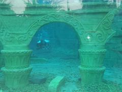 android_upload_pic-上海玛雅海滩水公园