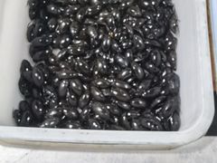 -十四涌水产中心