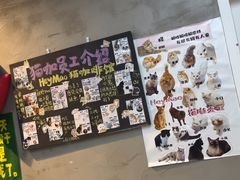 -Heymao猫咖.咖啡厅(东门店)