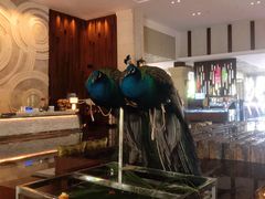 -西双版纳融创皇冠假日度假酒店