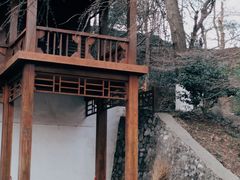 -伯先公园