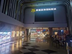 -幸福蓝海国际影城(河西店)