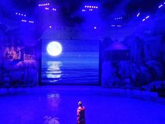 -芜湖新华联大白鲸海洋公园