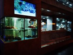 -海派悦庭·海胆烧麦·新融合菜(凯德广场店)