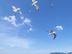 -那香海钻石沙滩浴场