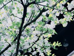 -济公故居