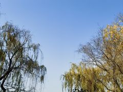 -金银湖国家城市湿地公园