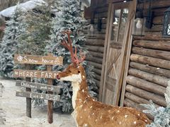 -HERRE·FARM 赫尔露营农场·团建聚会包场