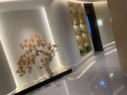 -雅荷悦来双美