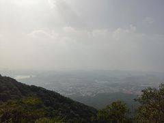 -紫金山山顶公园
