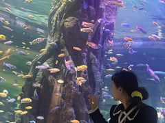-西双版纳原始森林公园
