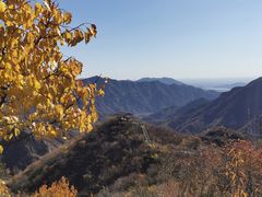 -大岭沟猕猴桃谷风景区