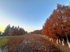 -昆承湖酒家·本帮农家菜