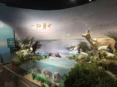 -湖南省地质博物馆