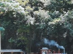 -楠溪江风景名胜区