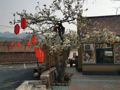 -老村长农家院