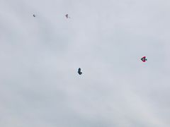 -春花秋色城市公园