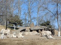 -北京野生动物园