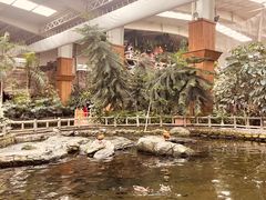 -南宫五洲植物乐园