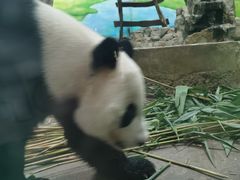 -柳州市动物园