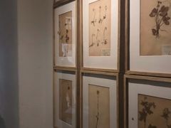 -花迹(富春江东街店)
