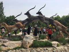 -武清南湖绿博园