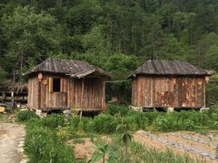 -黑河国家森林公园