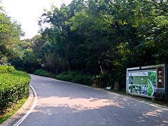 -南京市江宁方山