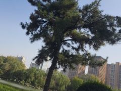 -木塔寺遗址生态公园