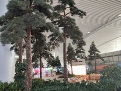 -青岛胶东国际机场