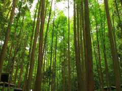 -凤栖山