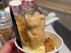 -莉莉熊Lililove Gelato (意大利手工冰淇淋)