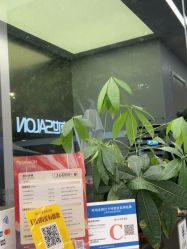 -京世沙龙