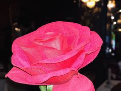 -马克西姆餐厅(崇文门店)