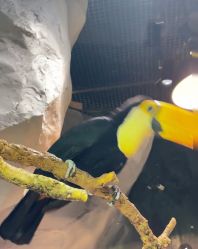 -Zoolung Zoolung动物主题公园(海信广场店)