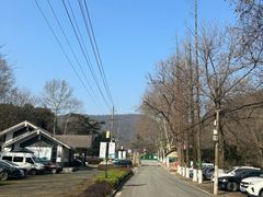 -南京老山国家森林公园