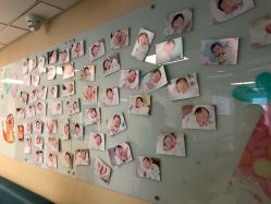 -杭州贝瑞斯美华妇儿医院·早孕·产检·儿科