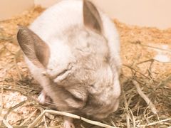 -龙猫仔乐园(惠福东路店)