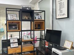 -bobo高端证件照工作室(三元桥店)