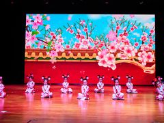 -美育儿童音乐舞蹈国际机构(浦东分校)