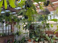 -自由生长植物工作室(深港花卉中心店)