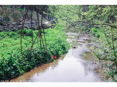 -重庆彩云湖湿地公园