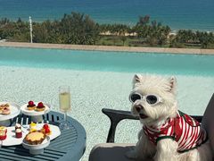 -瑰丽酒店·海吧·天际下午茶·现场DJ·天台酒吧