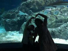 -暹罗海洋世界