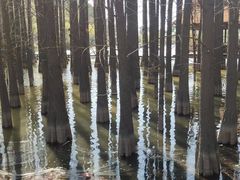 -采石矶景区