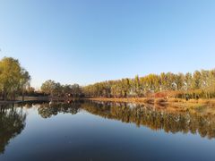 -东郊湿地公园