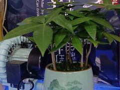 -祥鹤龙虾螃蟹