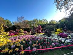 -杭州植物园